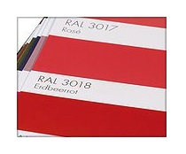 Pantone Guia RAL codigo color ralk1